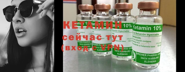 индика Каменногорск