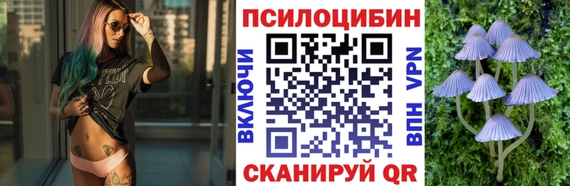 darknet какой сайт Карачев Галлюциногенные грибы ЛСД